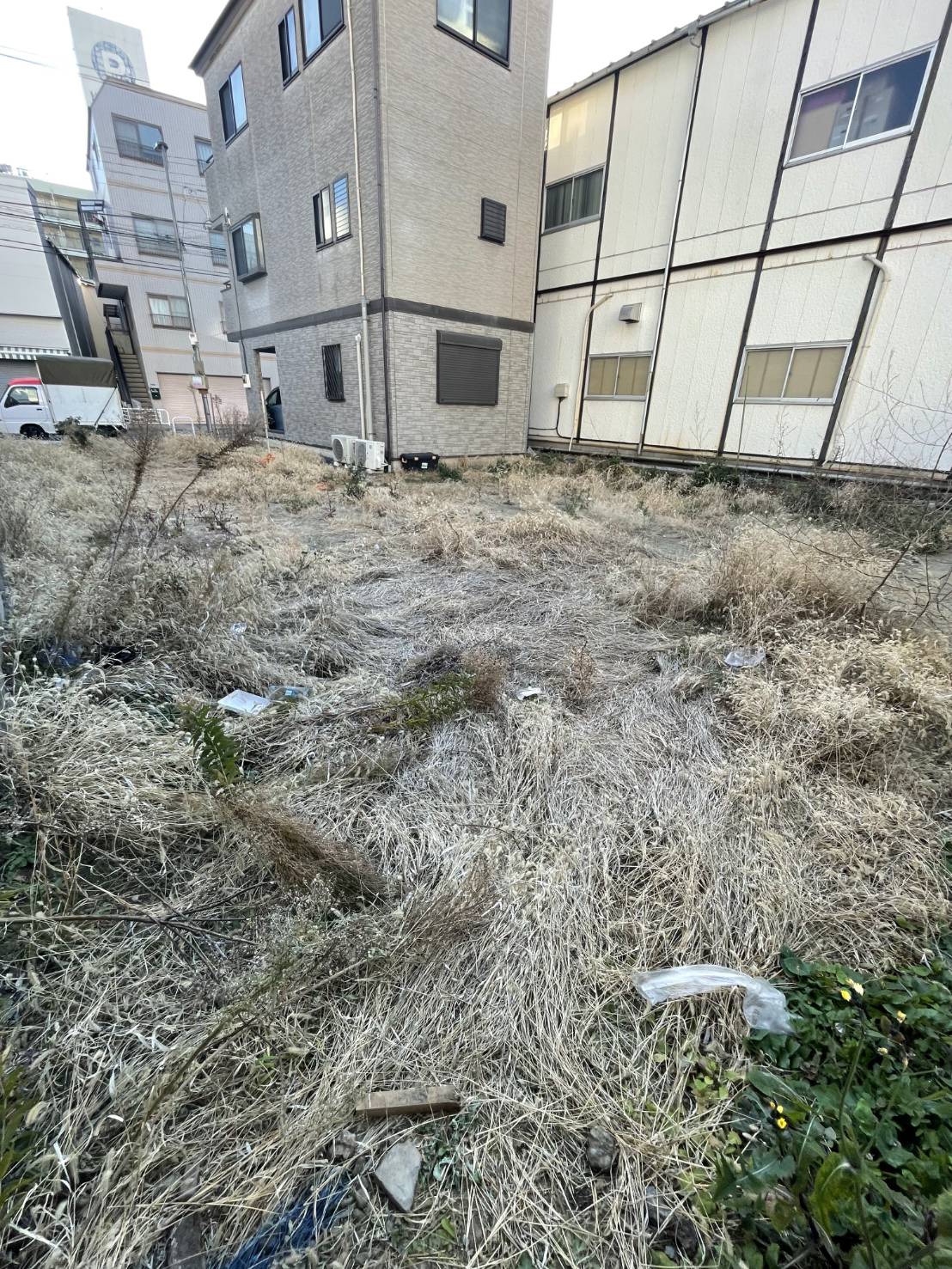 東京都江戸川区